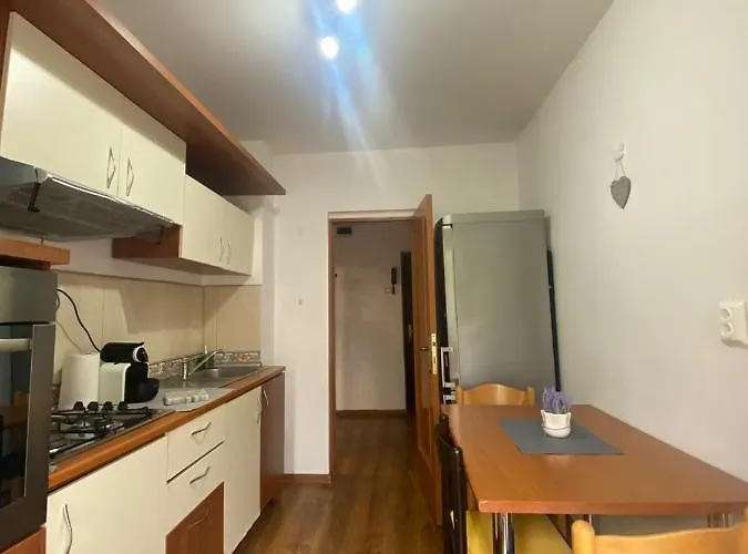 Unirii Fountains View *