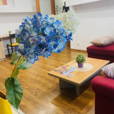 Unirii Fountains View *