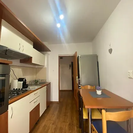 Unirii Fountains View *